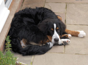 Leila at 7 Months
