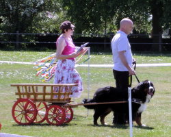 Mervyn working Amy in the Intermediate Carting Course