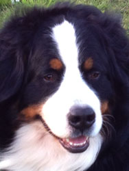 Murphy at 18 Months