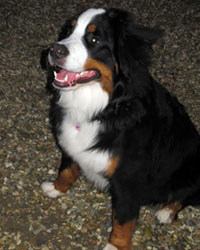 Murphy at 8 Months
