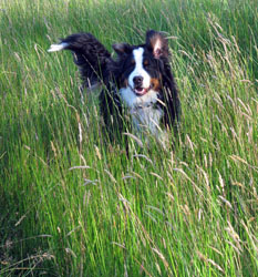 Murphy at 9 Months