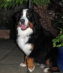 Murphy at 8 Months