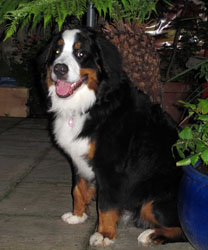 Murphy at 8 Months