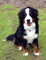 Murphy at 9 Months