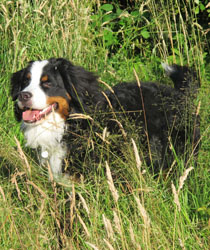Murphy at 9 Months