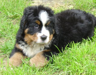 Aaran at 6&frac12; weeks & 2&frac12; Years
