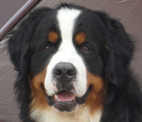 George at 13 Months Enjoying His Day
