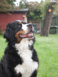 Ruby at 18 Months