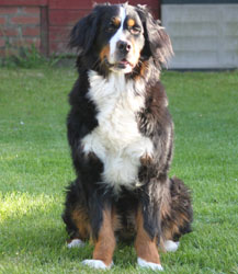 Ruby at 2&frac12; Years
