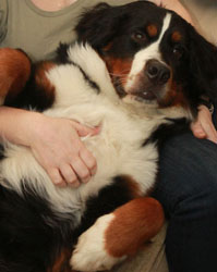 Ruby at One Year