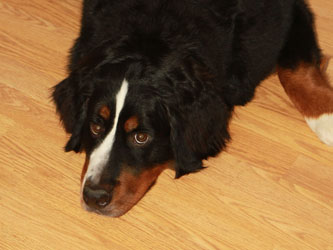 Ruby at One Year