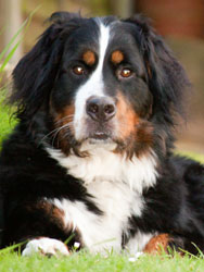 Ruby at 21 Months