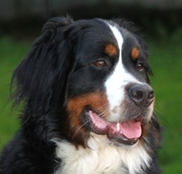 Ruby at 21 Months