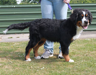 Ruby at 6 Months