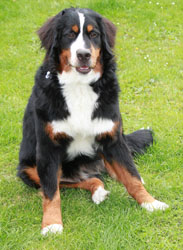 Ruby at 9 Months