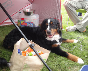 Ruby at 8 Months