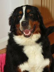 Ruby at One Year