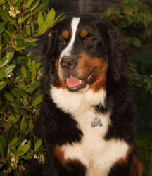 Ruby At 10 Months
