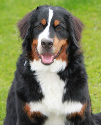 Ruby at 9 Months