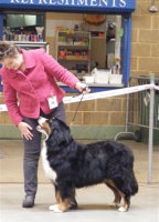 Amy at 3 years being shown by Philippa