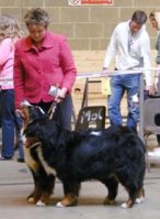 Millie & Amy in Brace being shown by Philippa