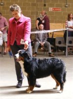 Merlin at 7 months being shown by Philippa