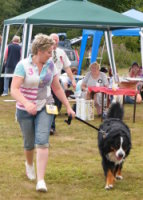 Philippa trotting Harvey