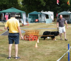 Mervyn working Amy on the Carting course