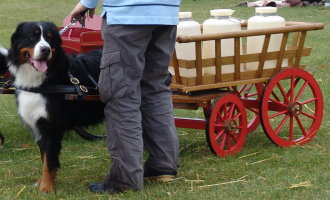 Sophie with our Traditional Swiss Cart