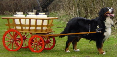Sophie with our Traditional Swiss Cart