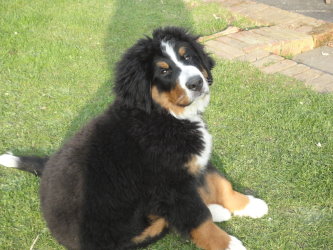 Ten At Four Months