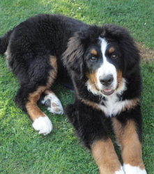 Ted At Five Months