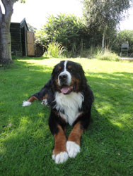 Ted at 21 Months