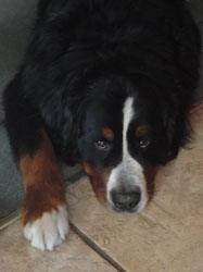 Ted at 21 Months