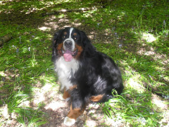 Ted at 2&frac12; Years