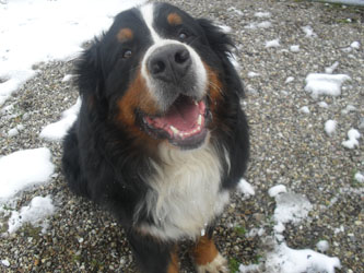 Ted at Two & a Quarter Years Old