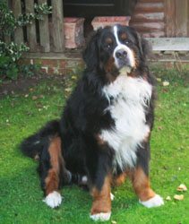 Ted at Two & Three Quarter Years Old