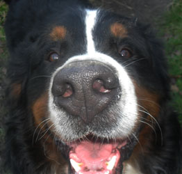 Ted at Two Years Old
