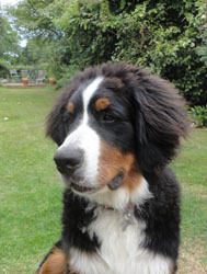 Ted at 6 Months