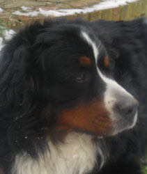 Ted at Two & a Quarter Years Old