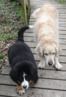 Ted At Three Months