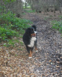 Ted at Two Years Old