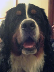 Ted at One Year Old