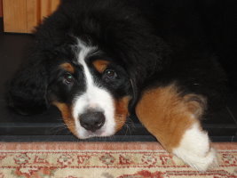 Ted At Three Months