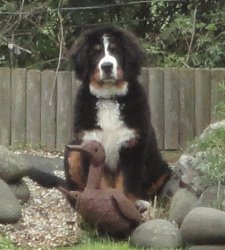 Ted At Five Months