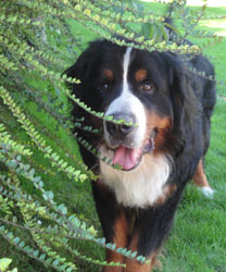 Ted at 21 Months