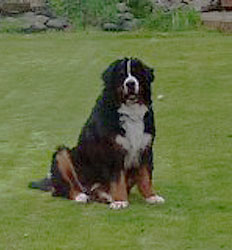 Ted at 18 Months