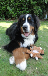 Ted at 7 Months
