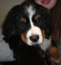 Ted At Two Months