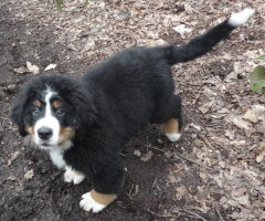 Ted At Three Months